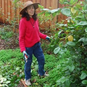 Meet your Posher, Julia